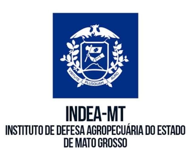 INDEA-MT